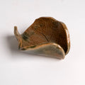 Small Elephant Ear Leaf Dish